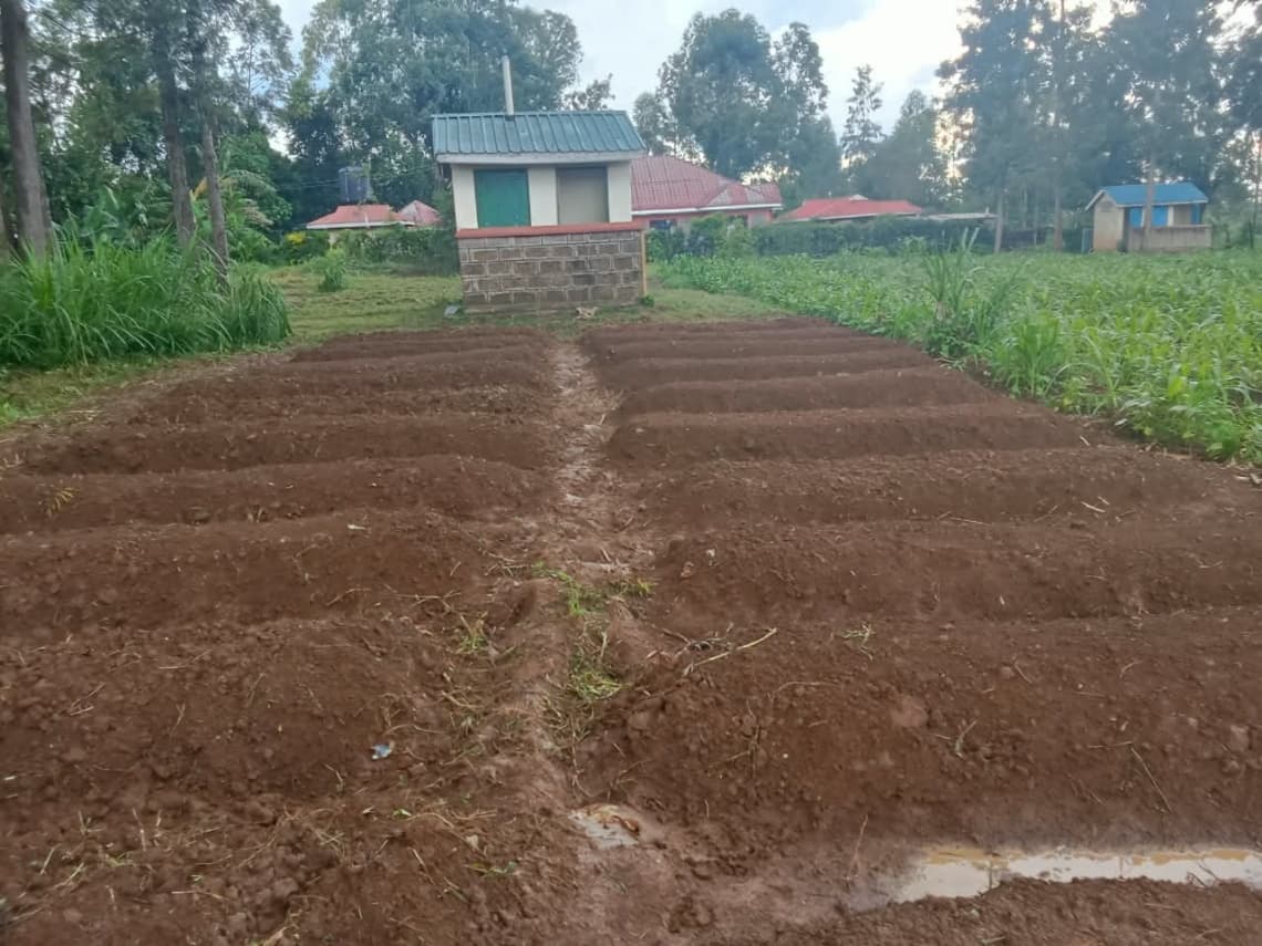 Finished raised soil beds