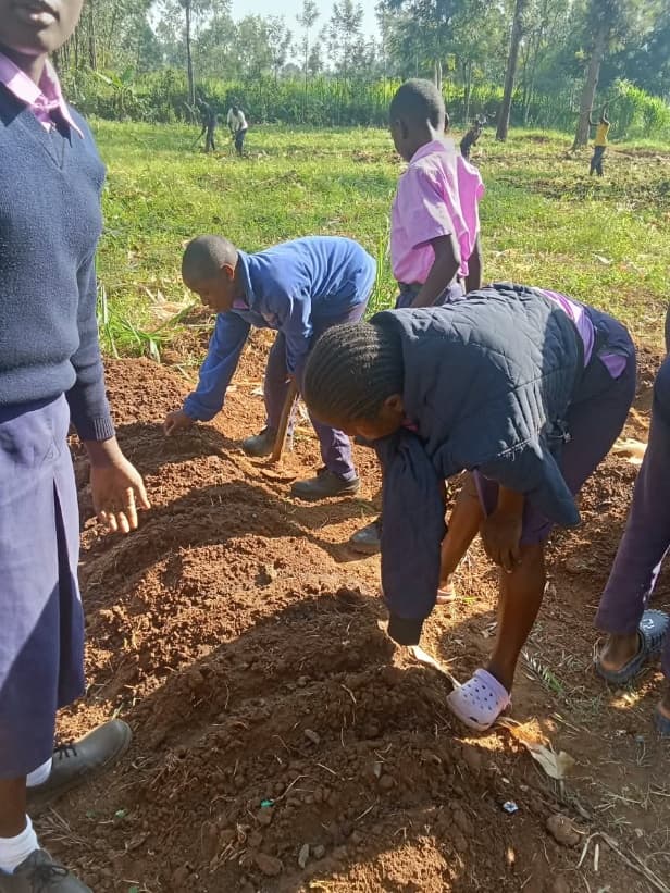 Students actively preparing soil and building raised garden beds on school grounds